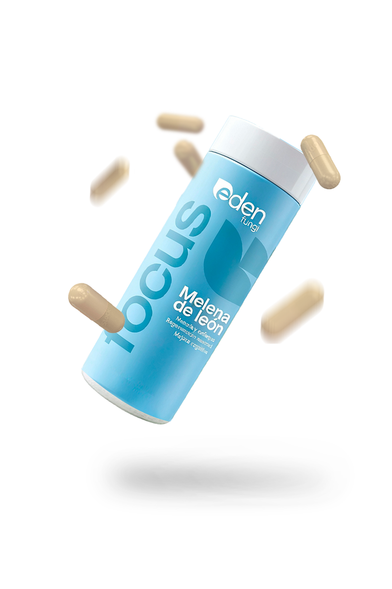 Por que Focus Melena de León?