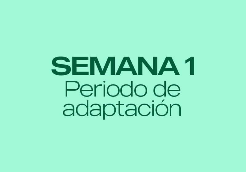 periodo adaptación