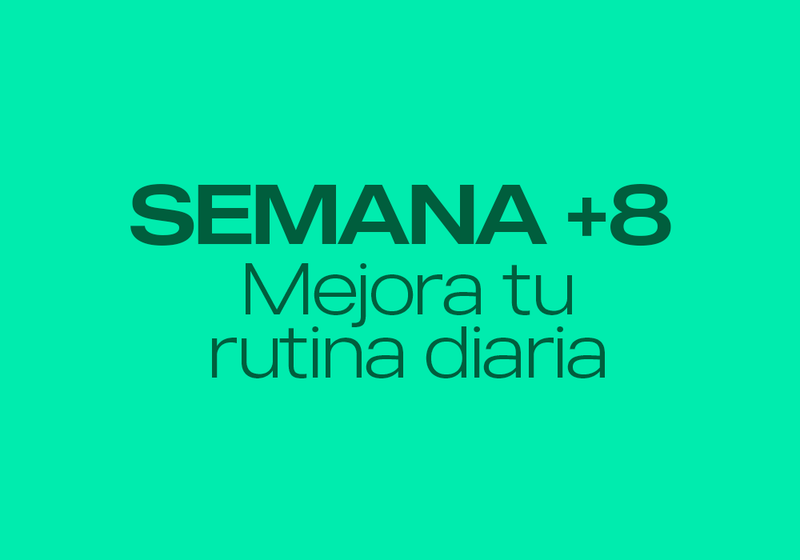 Después de 8 semanas